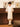 Boy's Cream Kurta Pajama - IUS-EBTKP5-025